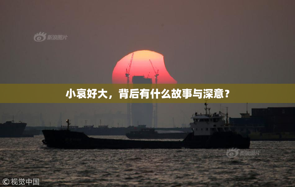 小哀好大，背后有什么故事与深意？