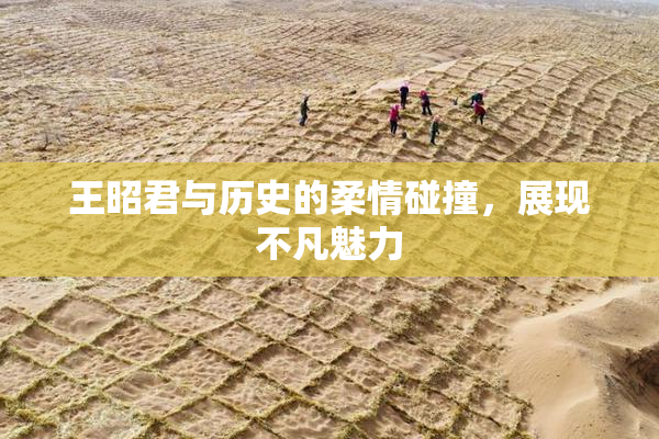 王昭君与历史的柔情碰撞，展现不凡魅力
