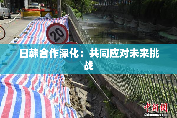 日韩合作深化：共同应对未来挑战