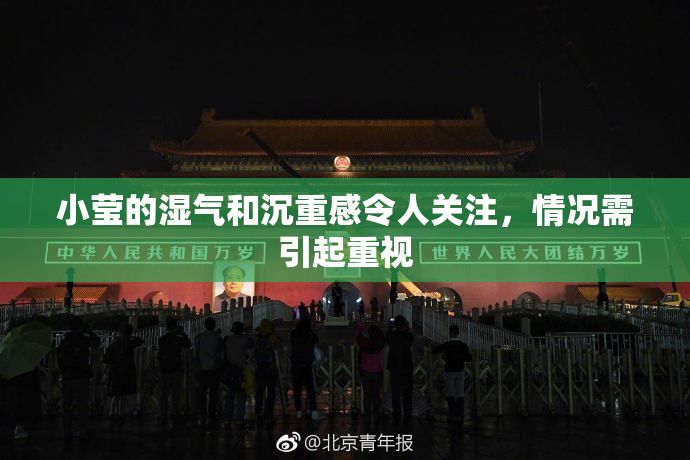 小莹的湿气和沉重感令人关注，情况需引起重视