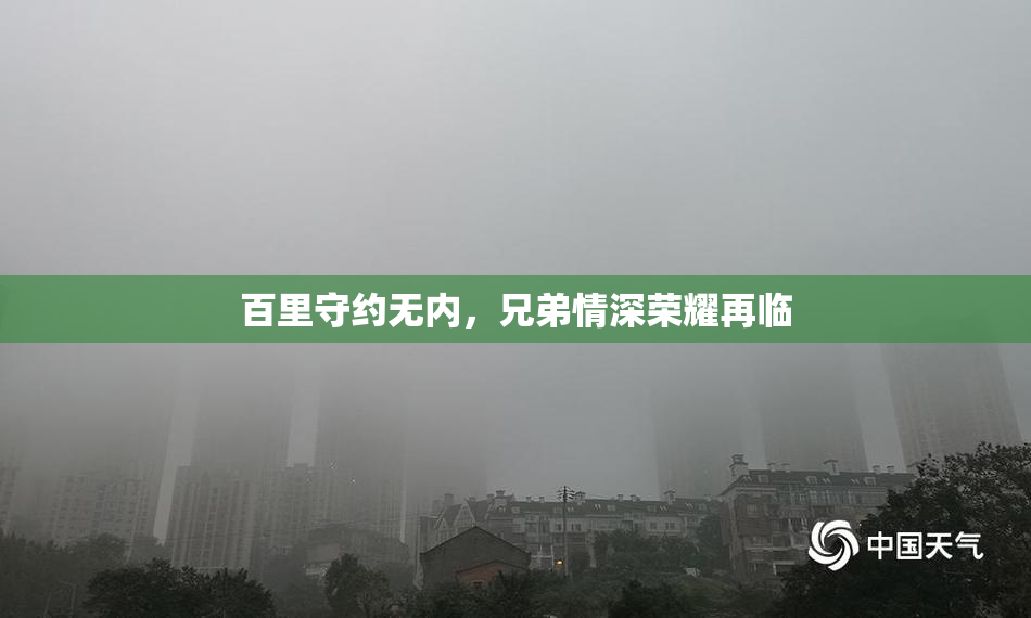 百里守约无内，兄弟情深荣耀再临