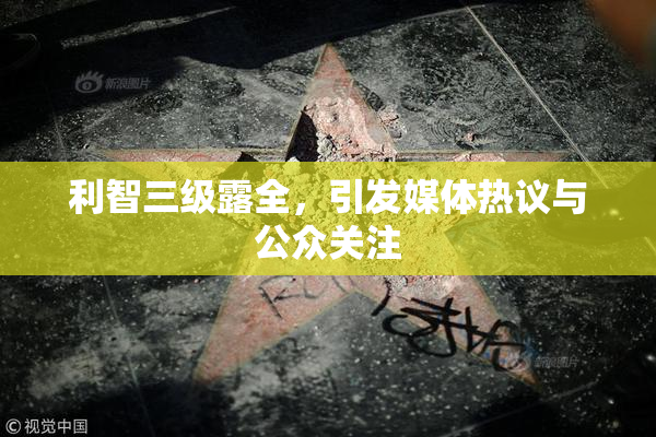 利智三级露全，引发媒体热议与公众关注