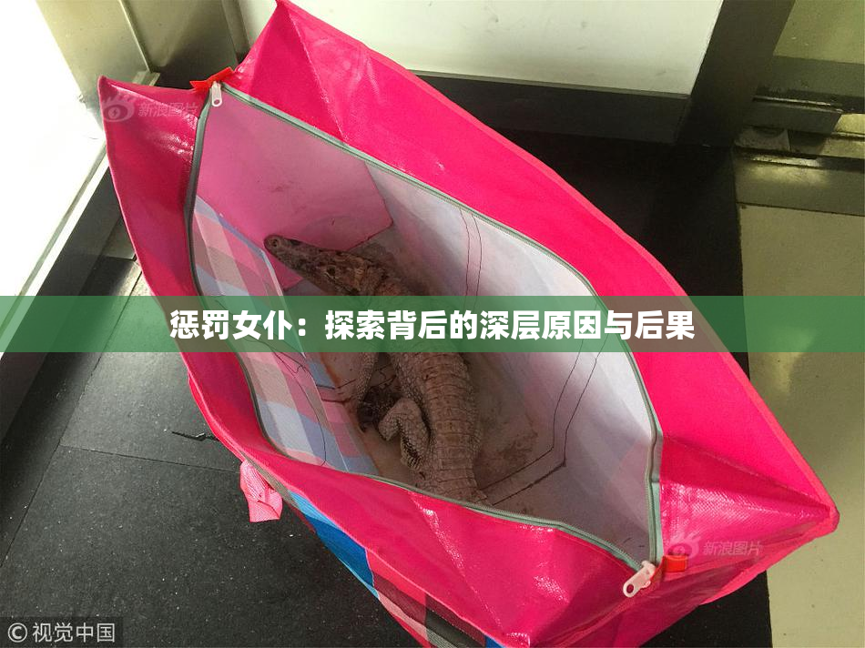 惩罚女仆：探索背后的深层原因与后果