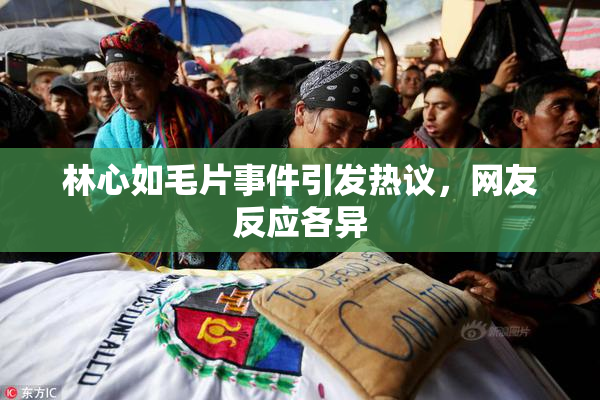 林心如毛片事件引发热议，网友反应各异