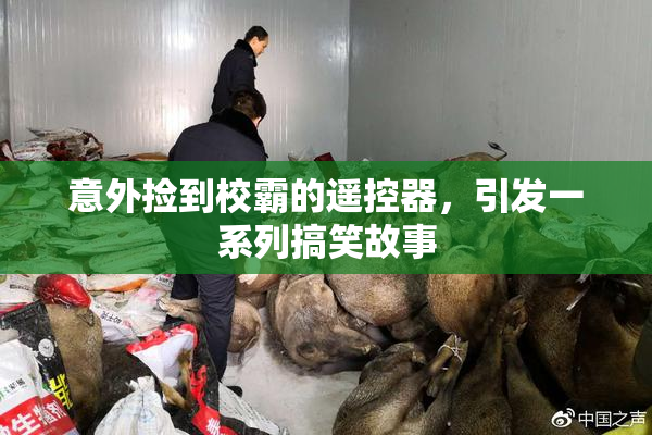 意外捡到校霸的遥控器，引发一系列搞笑故事