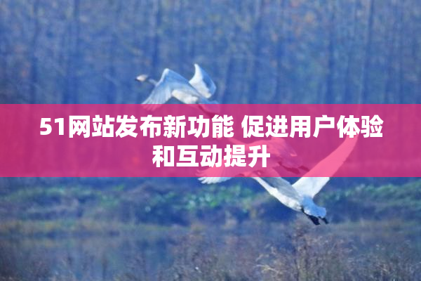 51网站发布新功能 促进用户体验和互动提升