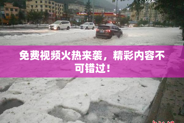 免费视频火热来袭，精彩内容不可错过！
