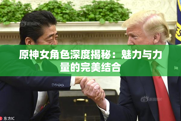 原神女角色深度揭秘：魅力与力量的完美结合