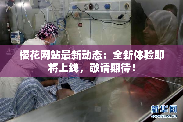 樱花网站最新动态：全新体验即将上线，敬请期待！