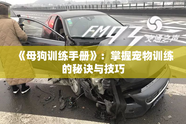 《母狗训练手册》：掌握宠物训练的秘诀与技巧
