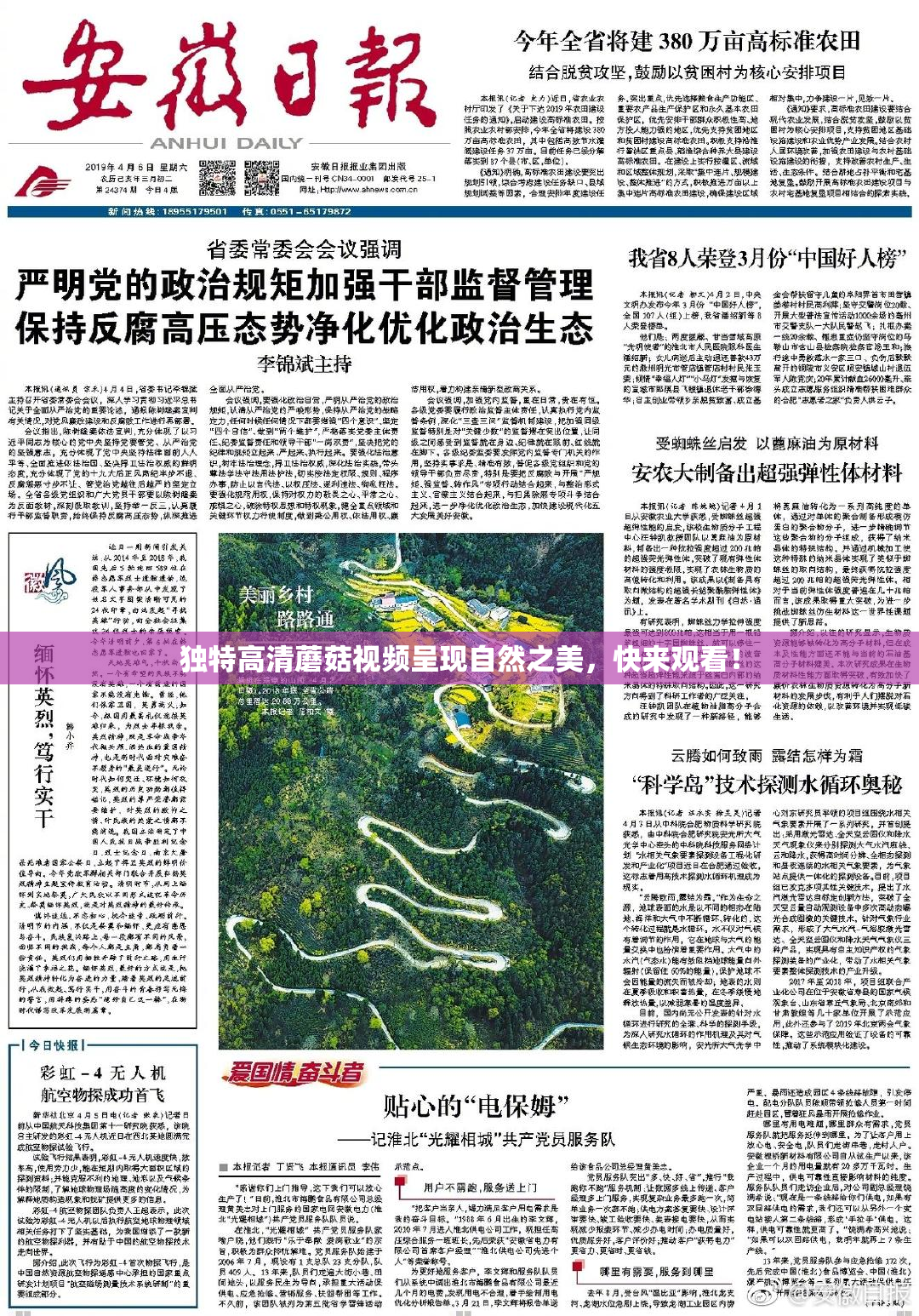 独特高清蘑菇视频呈现自然之美，快来观看！