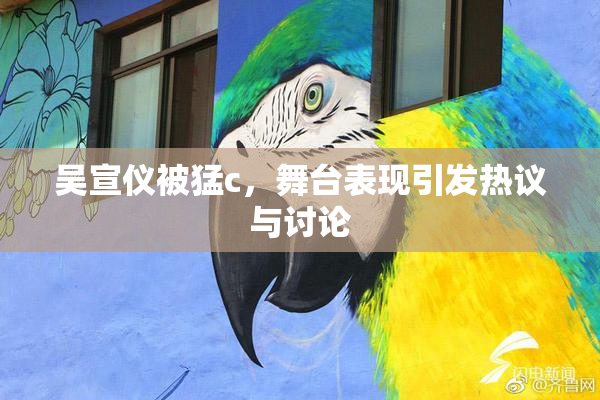 吴宣仪被猛c，舞台表现引发热议与讨论