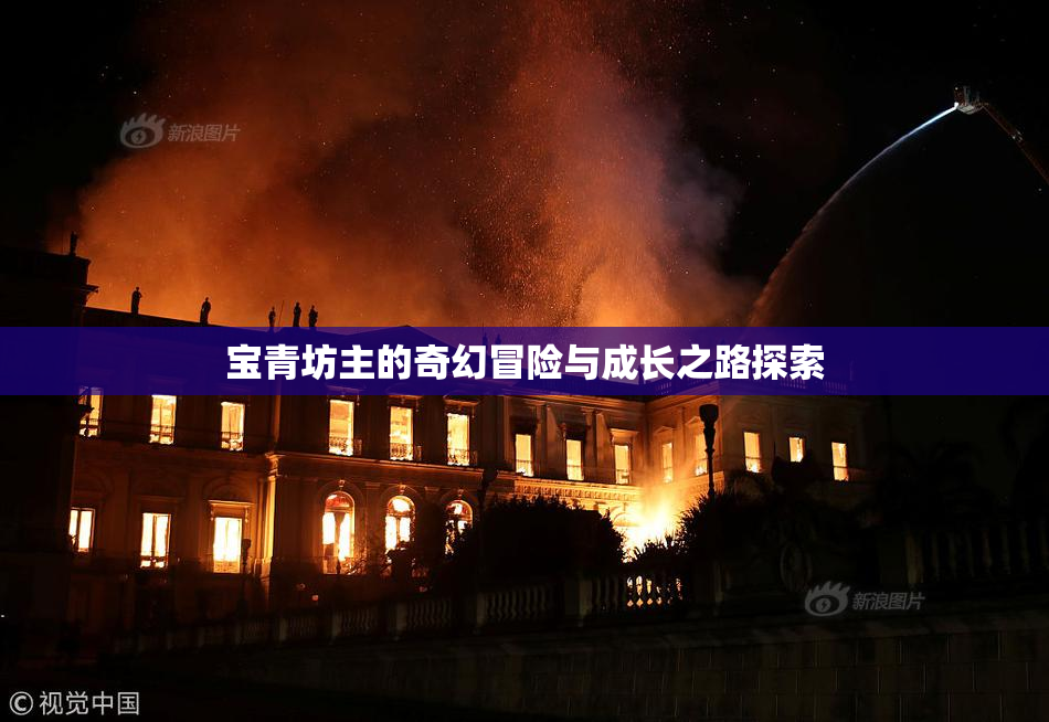 宝青坊主的奇幻冒险与成长之路探索