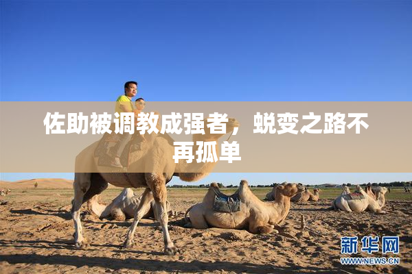 佐助被调教成强者，蜕变之路不再孤单