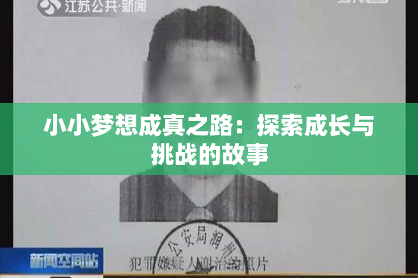 小小梦想成真之路：探索成长与挑战的故事