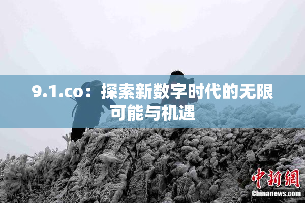 9.1.co：探索新数字时代的无限可能与机遇