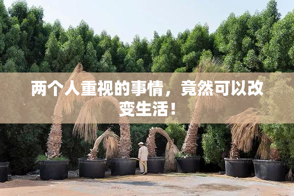 两个人重视的事情，竟然可以改变生活！