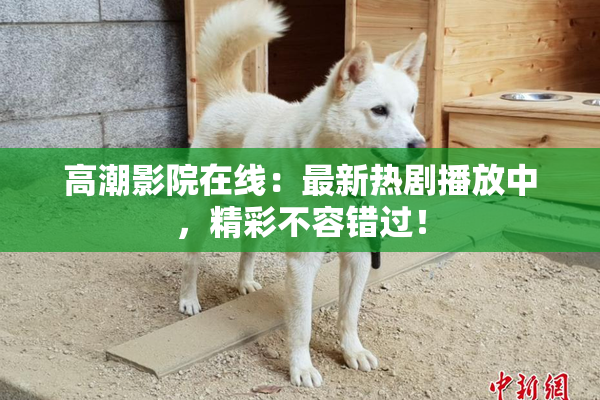 高潮影院在线：最新热剧播放中，精彩不容错过！
