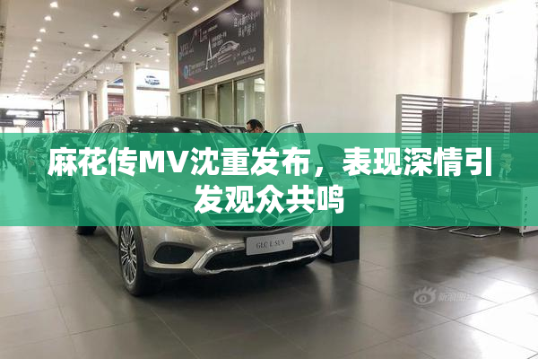 麻花传MV沈重发布，表现深情引发观众共鸣