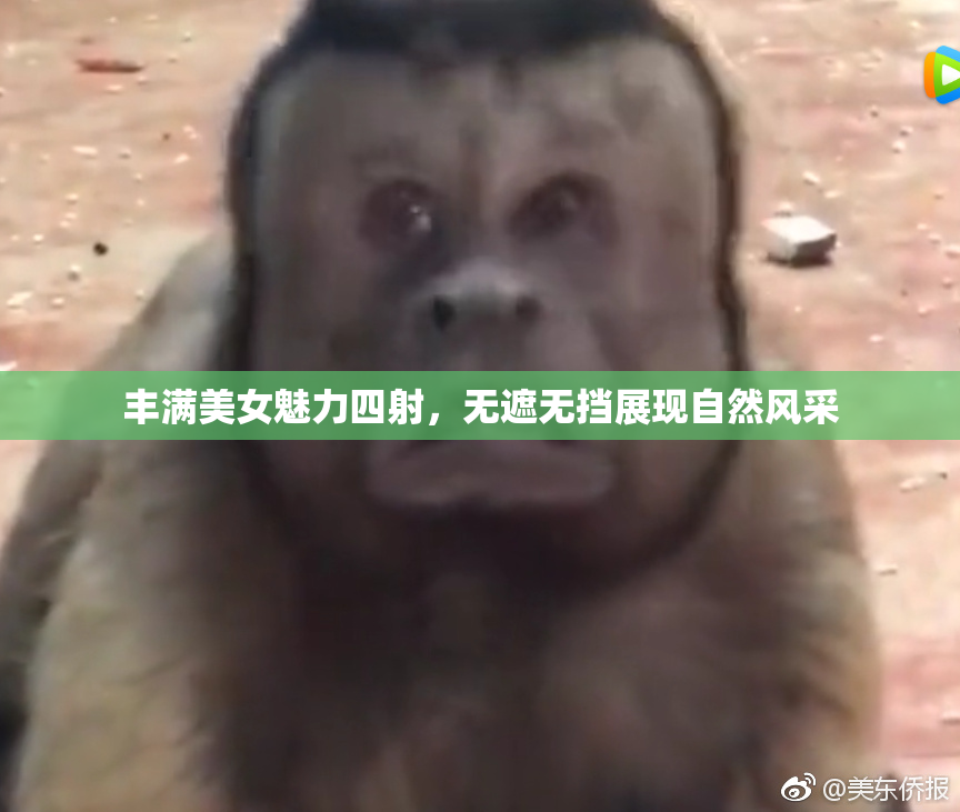 丰满美女魅力四射，无遮无挡展现自然风采