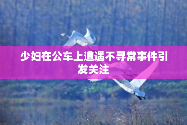少妇在公车上遭遇不寻常事件引发关注
