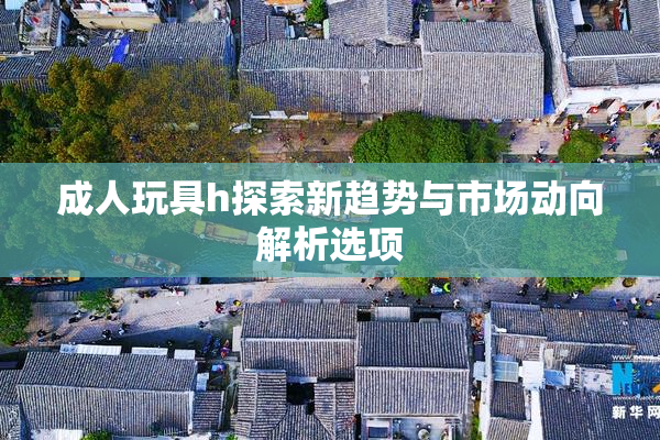 成人玩具h探索新趋势与市场动向解析选项