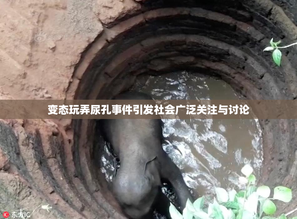 变态玩弄尿孔事件引发社会广泛关注与讨论