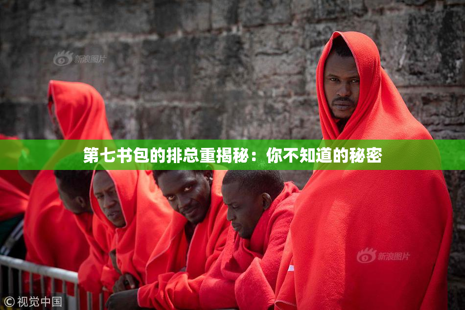 第七书包的排总重揭秘：你不知道的秘密