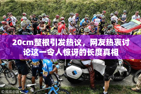 20cm整根引发热议，网友热衷讨论这一令人惊讶的长度真相