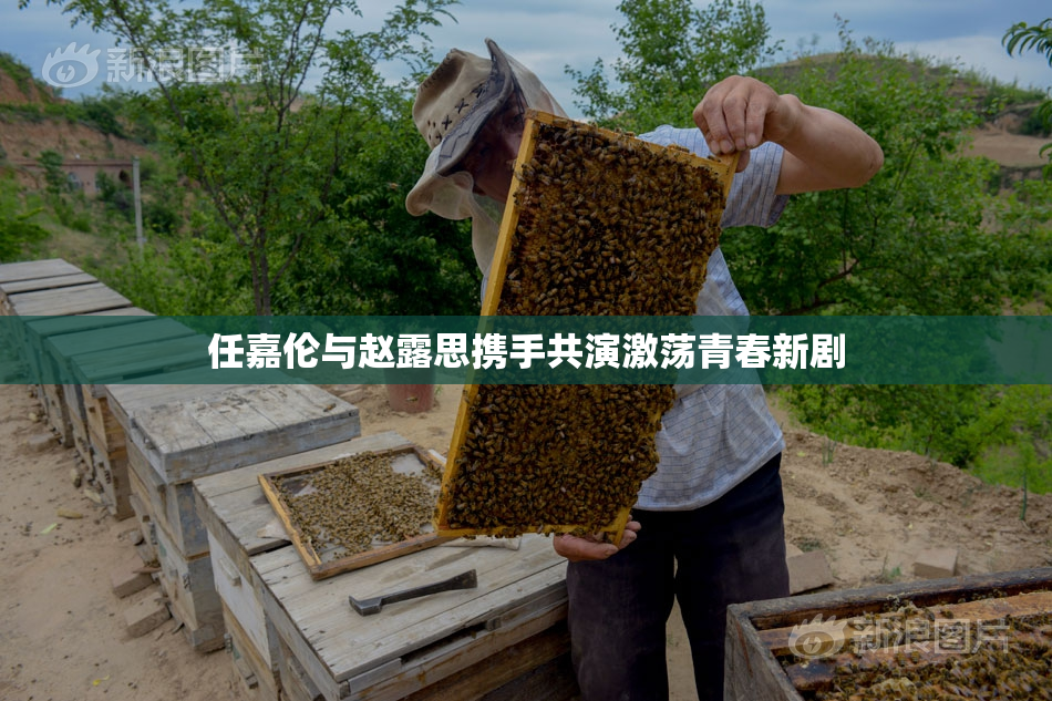 任嘉伦与赵露思携手共演激荡青春新剧
