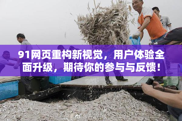 91网页重构新视觉，用户体验全面升级，期待你的参与与反馈！