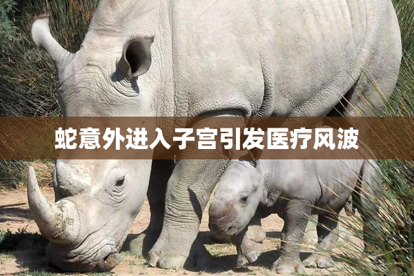 蛇意外进入子宫引发医疗风波
