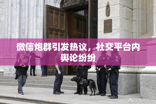 微信炮群引发热议，社交平台内舆论纷纷