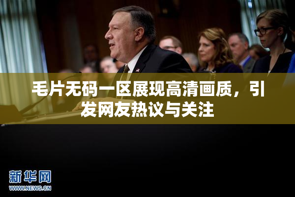 毛片无码一区展现高清画质，引发网友热议与关注