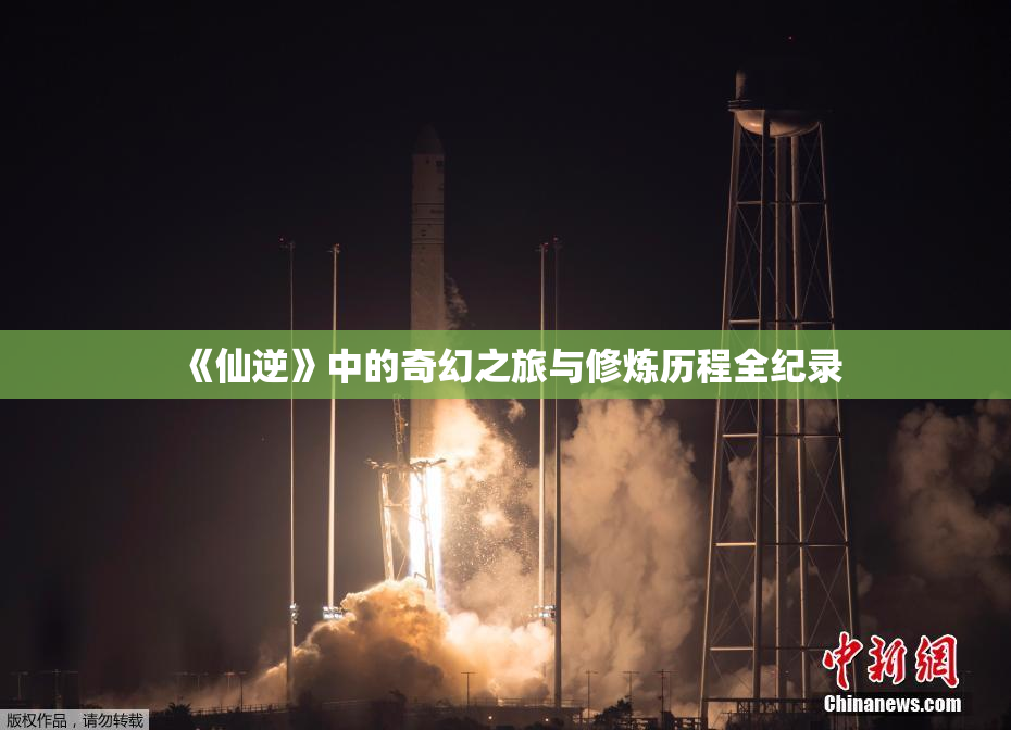 《仙逆》中的奇幻之旅与修炼历程全纪录