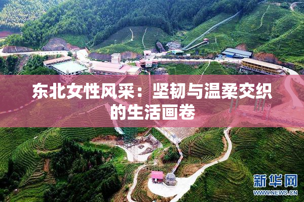 东北女性风采：坚韧与温柔交织的生活画卷