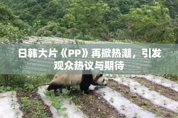 日韩大片《PP》再掀热潮，引发观众热议与期待