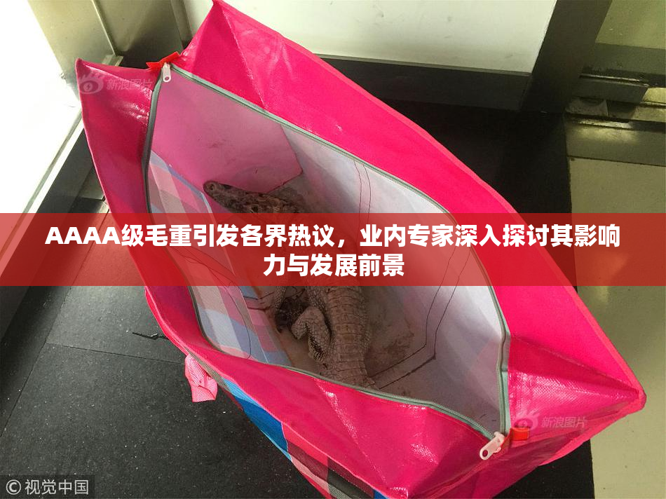 AAAA级毛重引发各界热议，业内专家深入探讨其影响力与发展前景