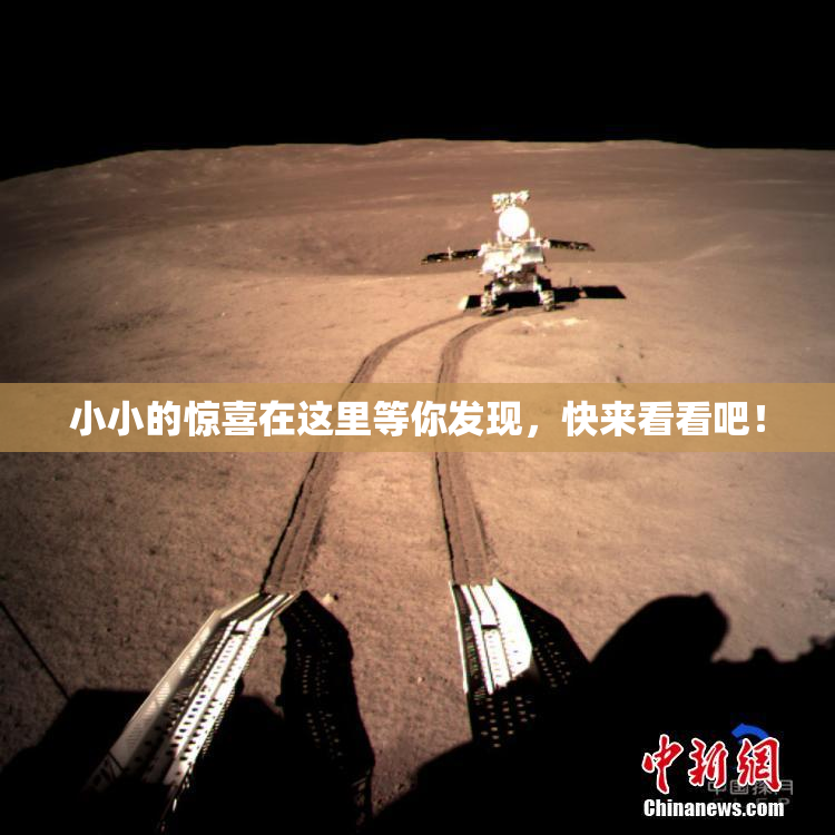 小小的惊喜在这里等你发现，快来看看吧！