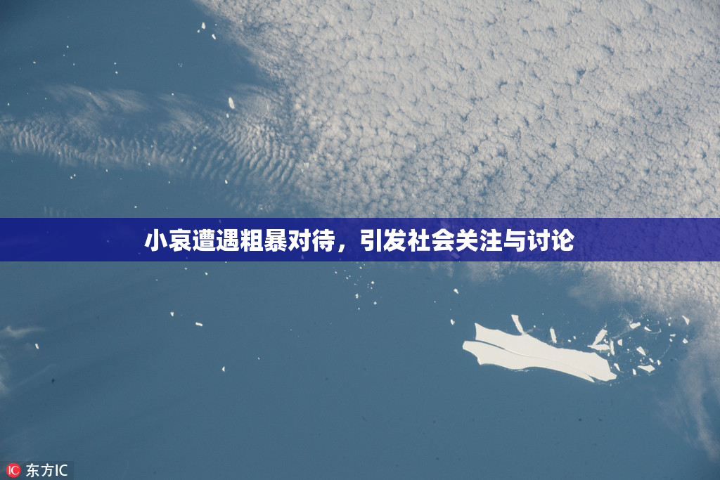 小哀遭遇粗暴对待，引发社会关注与讨论