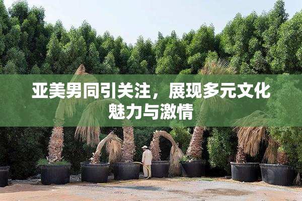 亚美男同引关注，展现多元文化魅力与激情