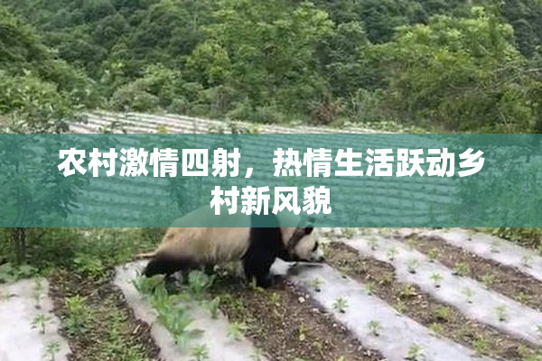 农村激情四射，热情生活跃动乡村新风貌