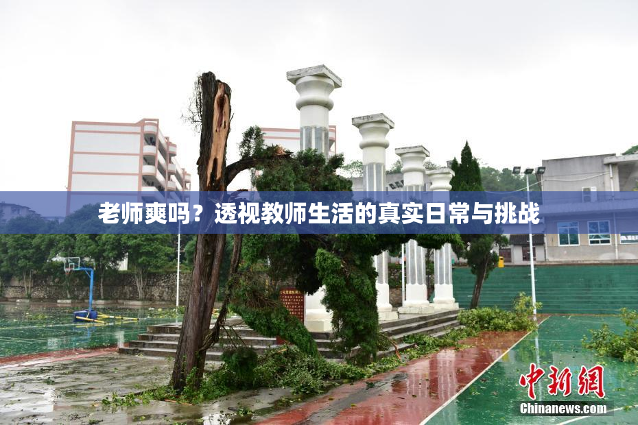 老师爽吗？透视教师生活的真实日常与挑战