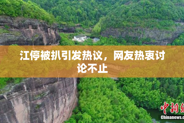 江停被扒引发热议，网友热衷讨论不止