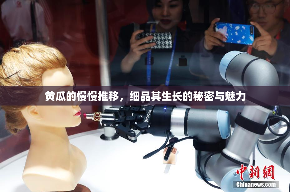 黄瓜的慢慢推移，细品其生长的秘密与魅力