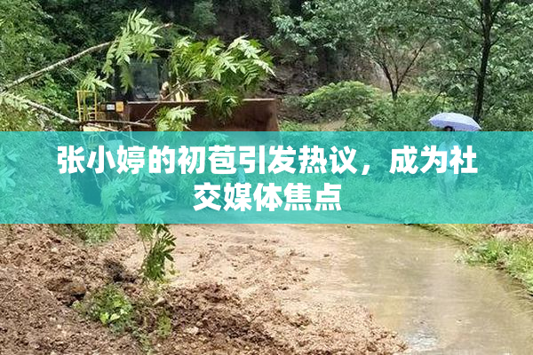 张小婷的初苞引发热议，成为社交媒体焦点