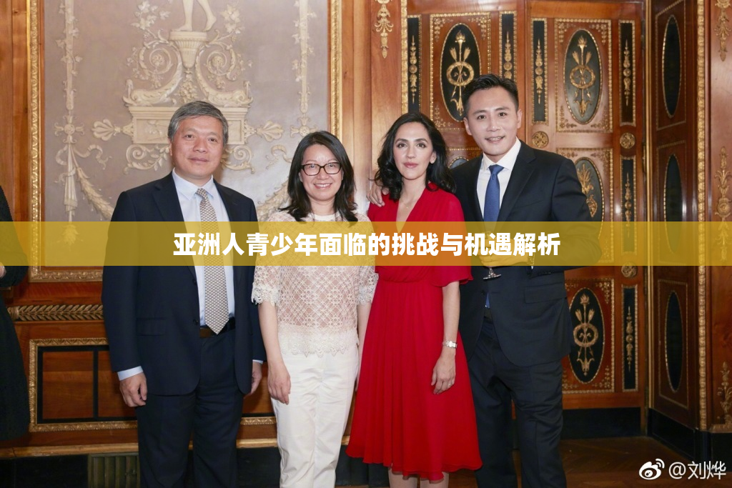 亚洲人青少年面临的挑战与机遇解析