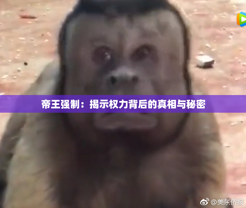 帝王强制：揭示权力背后的真相与秘密