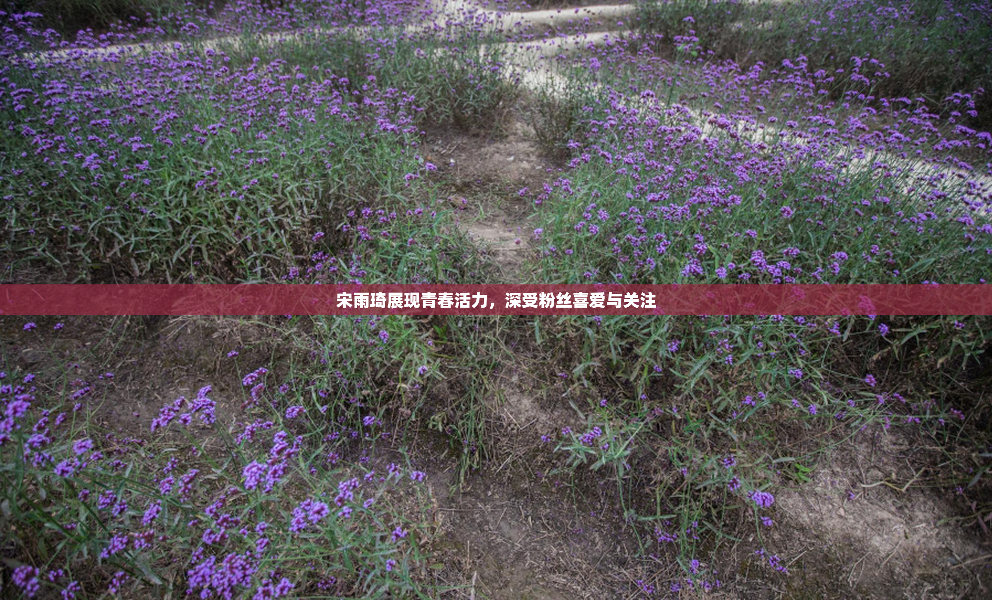 宋雨琦展现青春活力，深受粉丝喜爱与关注