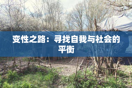 变性之路：寻找自我与社会的平衡